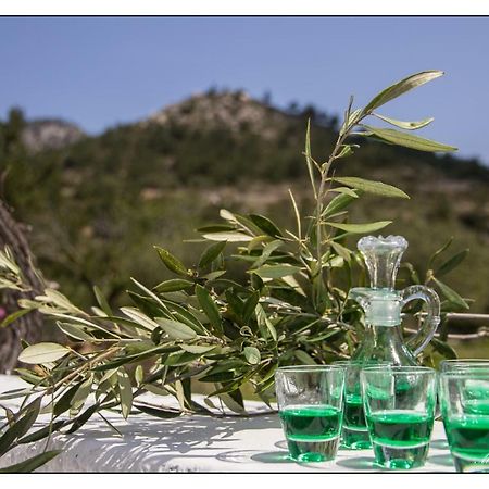 Vila Liodentro House Karpathos Exteriér fotografie