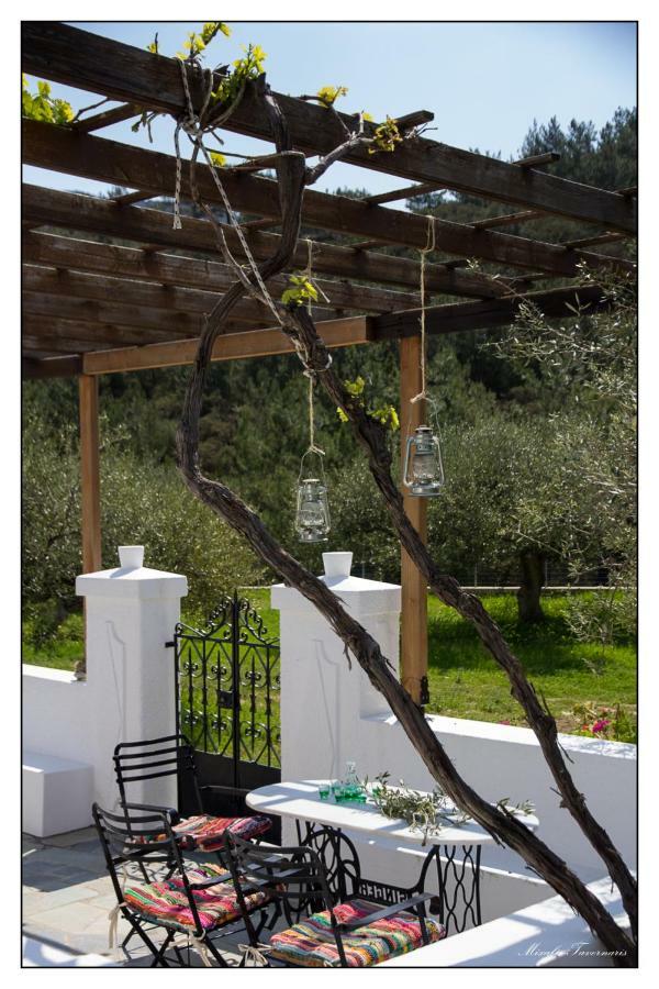 Vila Liodentro House Karpathos Exteriér fotografie