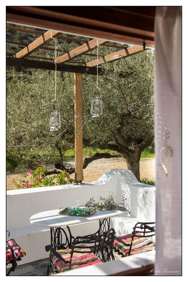 Vila Liodentro House Karpathos Exteriér fotografie