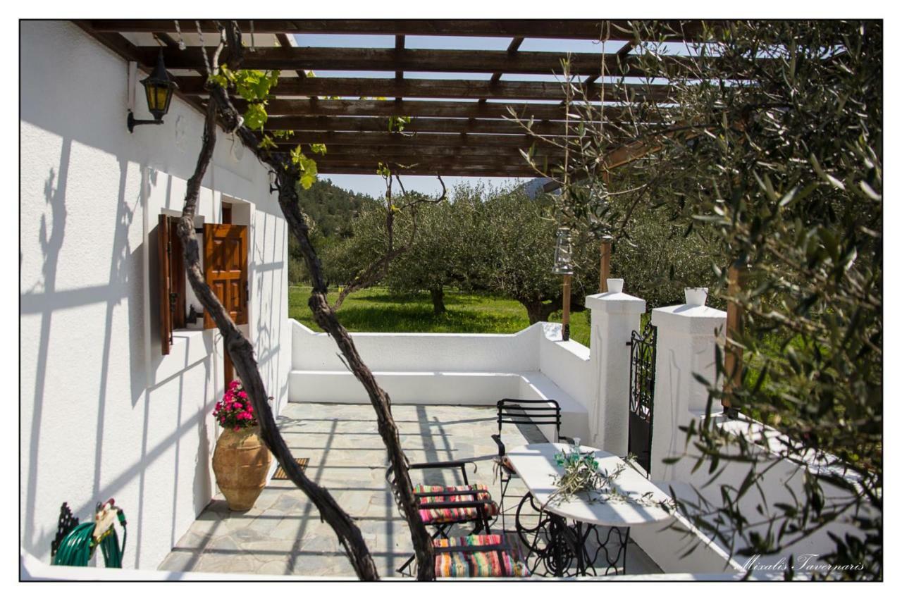 Vila Liodentro House Karpathos Exteriér fotografie