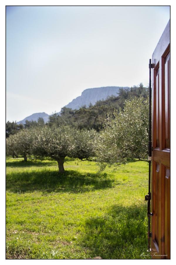 Vila Liodentro House Karpathos Exteriér fotografie