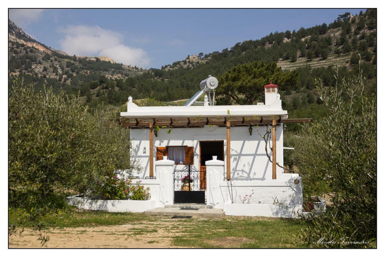 Vila Liodentro House Karpathos Exteriér fotografie
